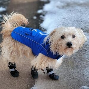 SILVER PAW Reflective Dog Vest